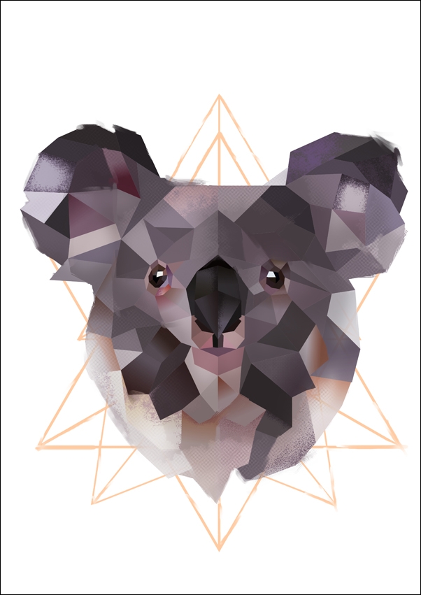 koala białe tło - plakat Wymiar do wyboru: 50x70 cm