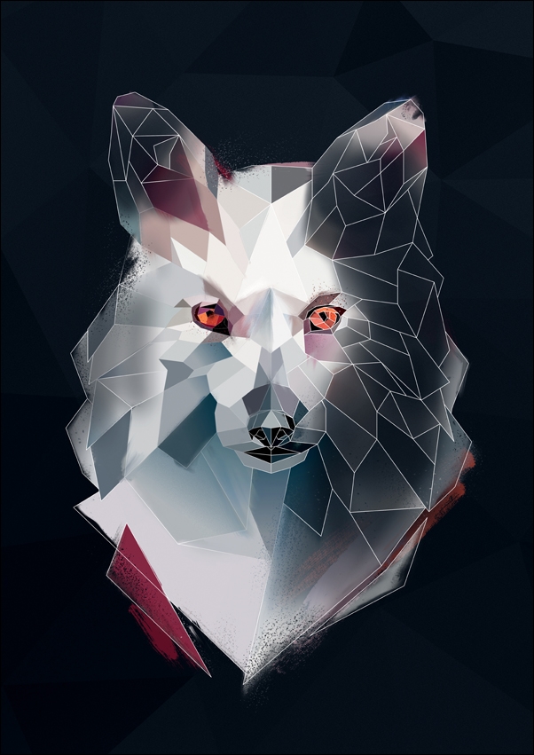 lis biały tło - plakat Wymiar do wyboru: 70x100 cm
