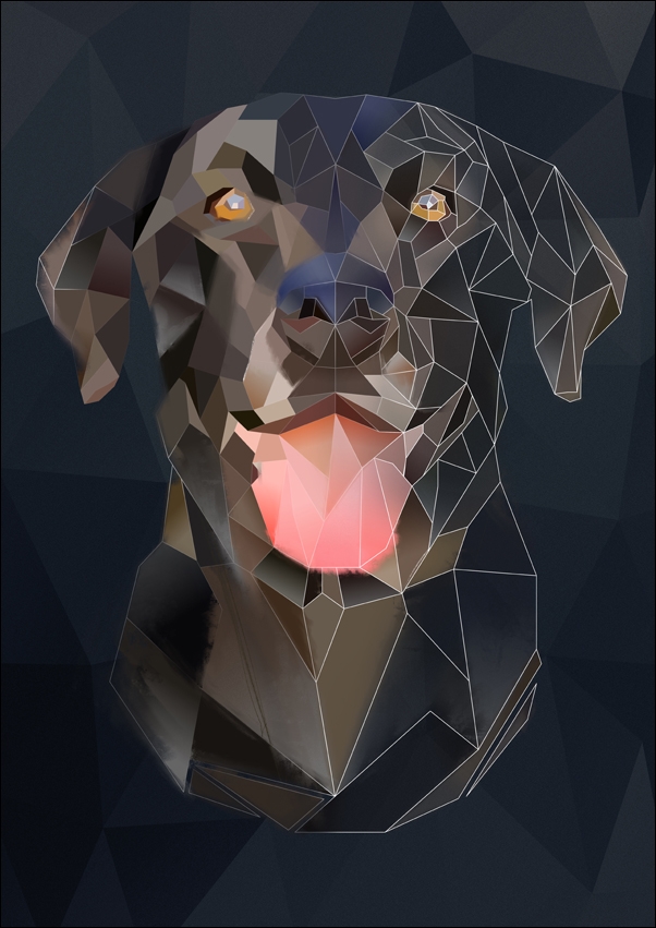 Pies tło - plakat Wymiar do wyboru: 30x40 cm