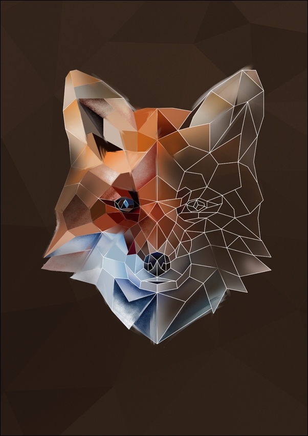 Lis2 tło - plakat Wymiar do wyboru: 50x70 cm