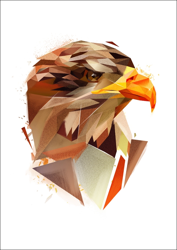 Orzeł szkic białe tło - plakat Wymiar do wyboru: 40x50 cm