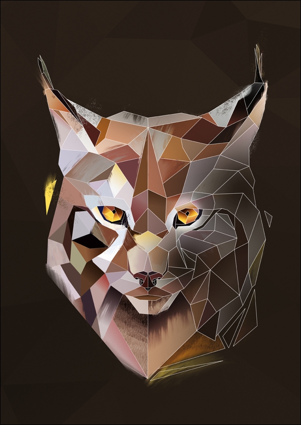 Ryś tło - plakat Wymiar do wyboru: 40x50 cm