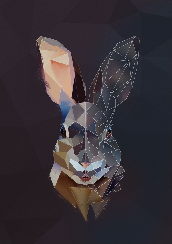rabbit tło - plakat Wymiar do wyboru: 50x70 cm