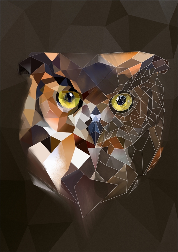 sowa tło - plakat Wymiar do wyboru: 50x70 cm