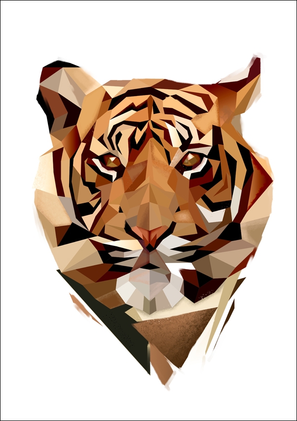 TYGRYS białe tło - plakat Wymiar do wyboru: 60x80 cm