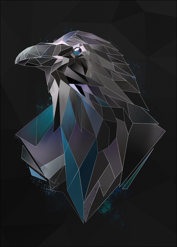 Raven tło - plakat Wymiar do wyboru: 40x50 cm