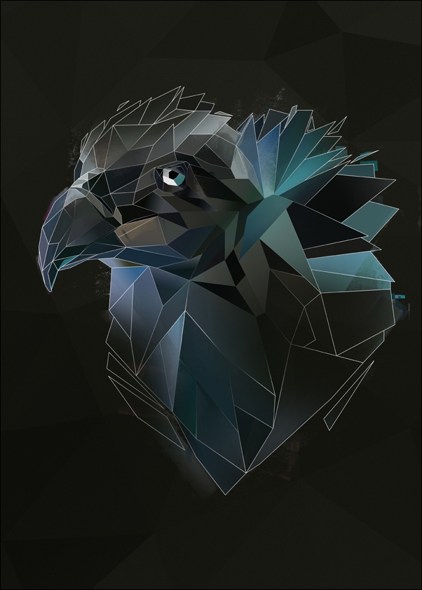 Sęp tło - plakat Wymiar do wyboru: 40x50 cm