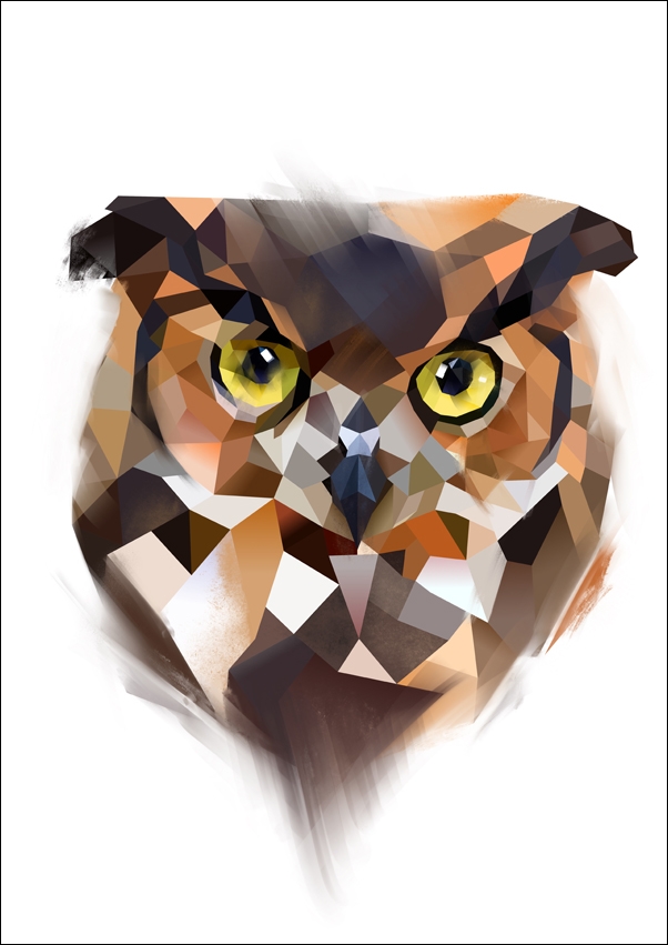 sowa - plakat Wymiar do wyboru: 30x40 cm