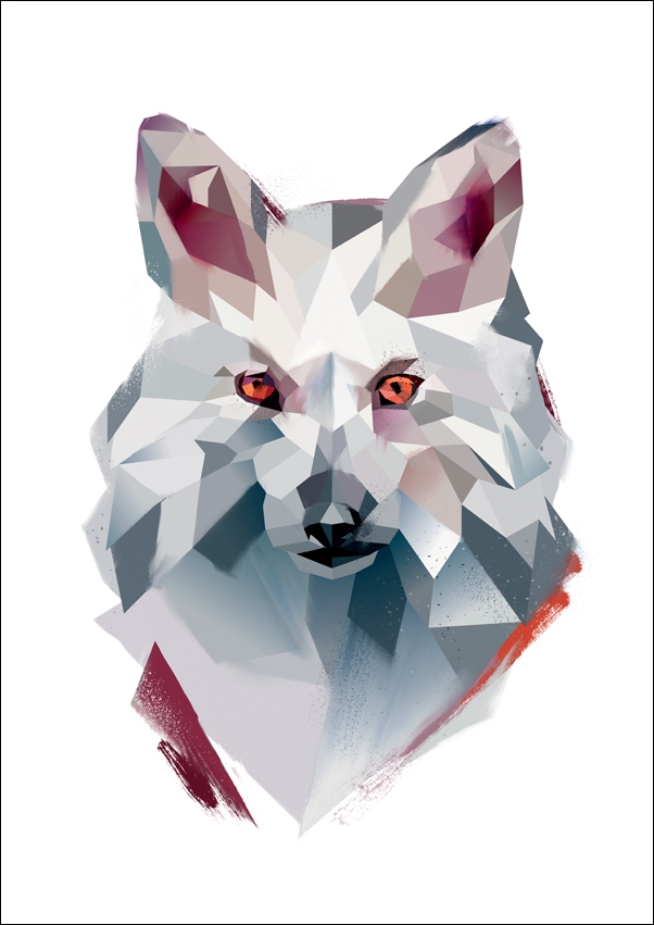 lis biały - plakat Wymiar do wyboru: 61x91,5 cm