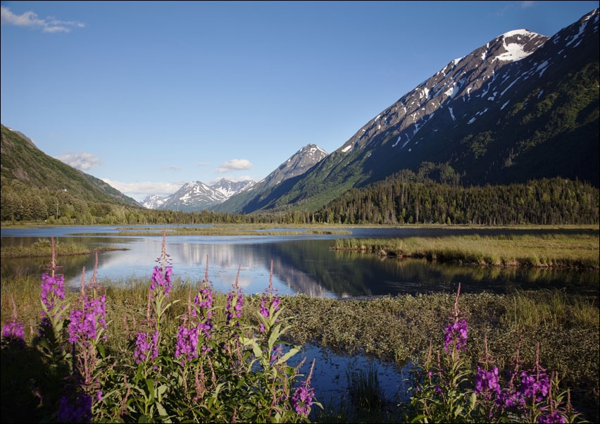 Scenic view from the Seward Highway in the Chugach National Forest, Carol Highsmith - plakat 100x70 cm