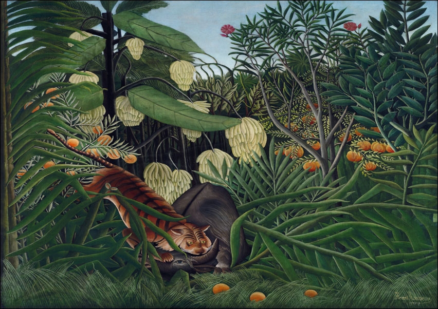 Fight between a Tiger and a Buffalo, Henri Rousseau - plakat 70x50 cm