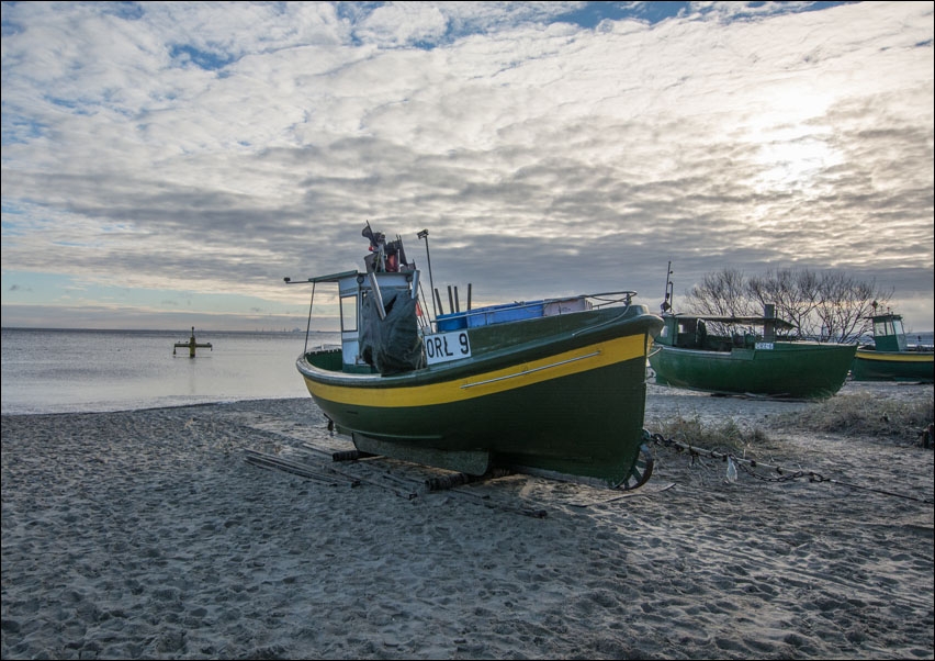 Kutry na brzegu - plakat Wymiar do wyboru: 100x70 cm