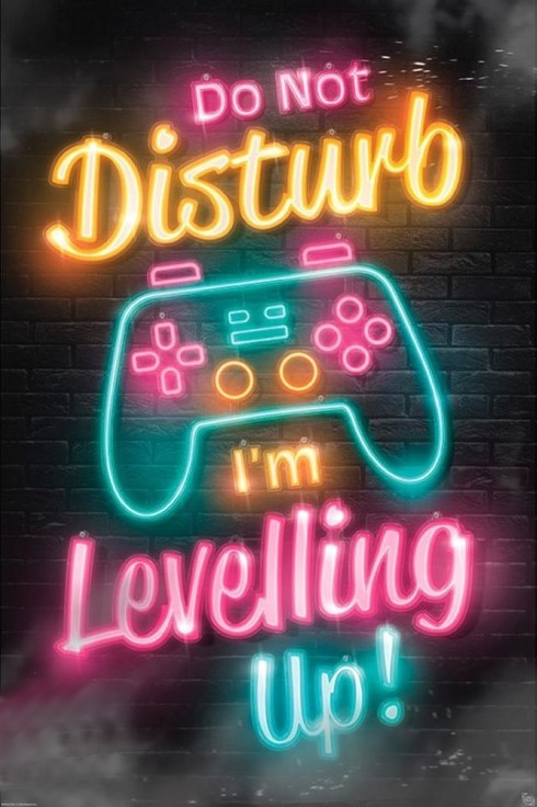 Nie Przeszkadzać Gram - plakat