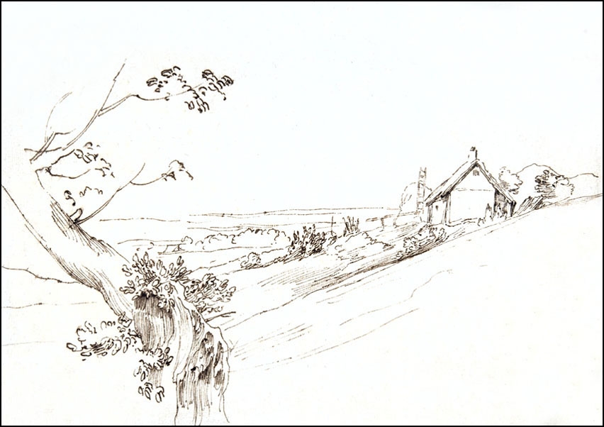 Landscape with a Gnarled Tree and a Farm, Anthony van Dyck - plakat Wymiar do wyboru: 50x70 cm