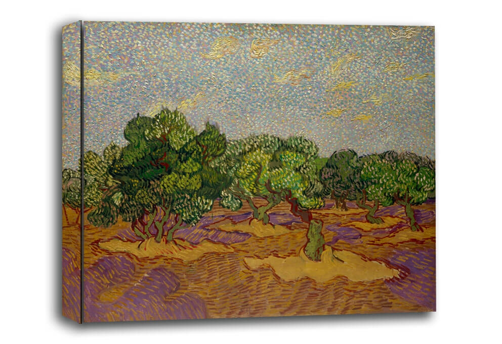 Olive Trees, Vincent van Gogh - obraz na płótnie Wymiar do wyboru: 30x20 cm