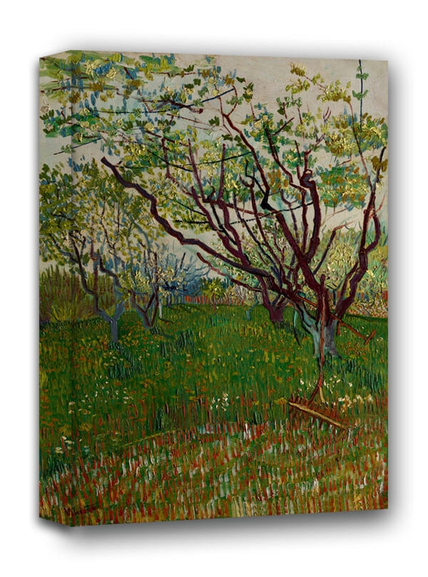 Zdjęcia - Obraz Vincent The Flowering Orchard,  van Gogh -  na płótnie Wymiar do wybor 