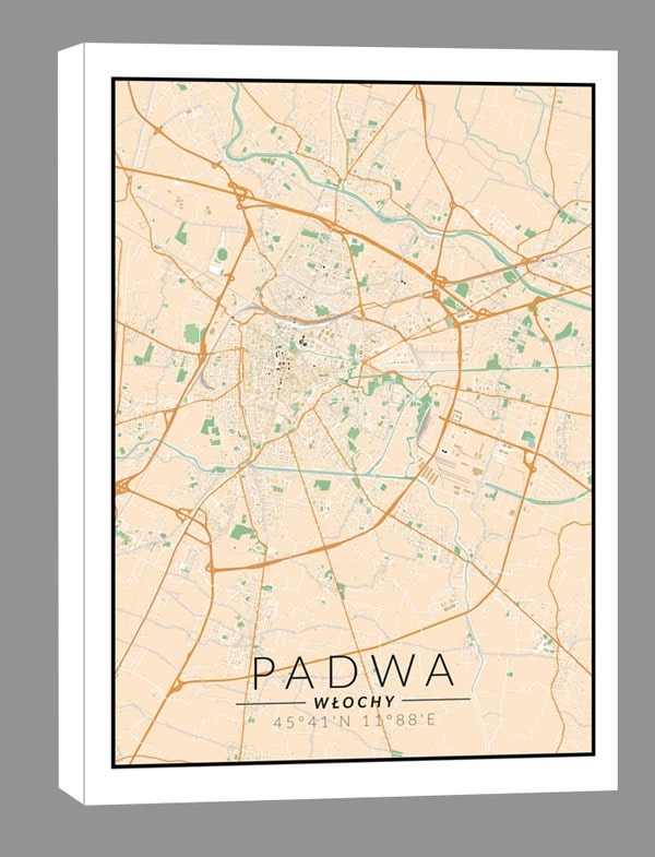 Padwa, Włochy mapa kolorowa - obraz na płótnie Wymiar do wyboru: 30x40 cm