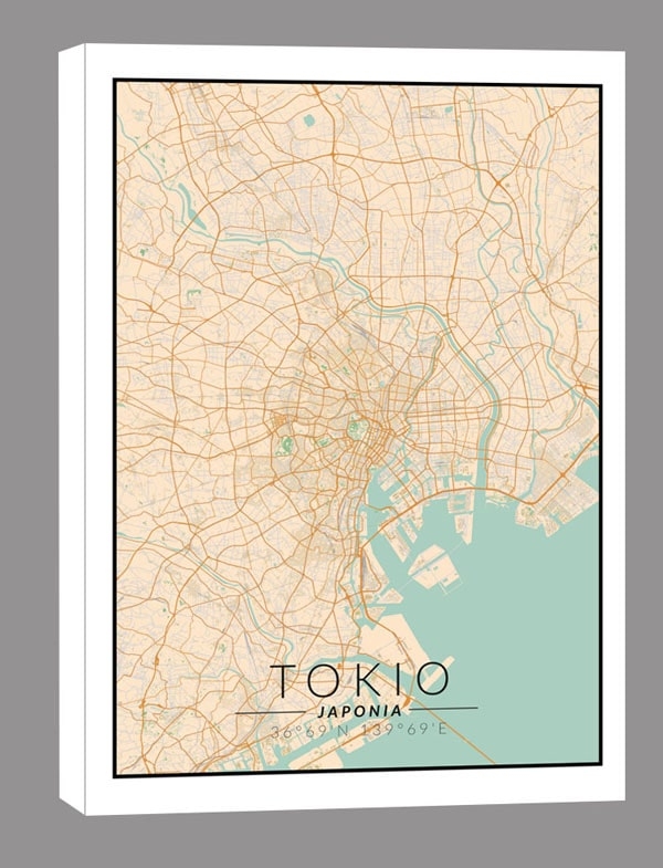 Zdjęcia - Obraz Tokio mapa kolorowa -  na płótnie Wymiar do wyboru: 30x40 cm 