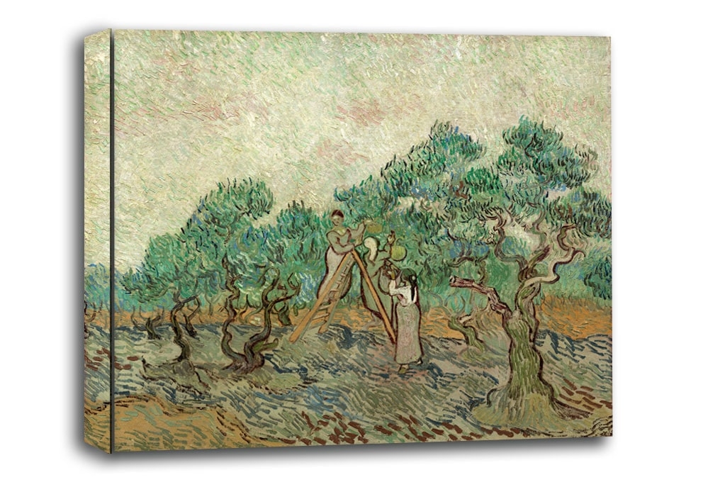 The Olive Orchard, Vincent van Gogh - obraz na płótnie Wymiar do wyboru: 120x90 cm