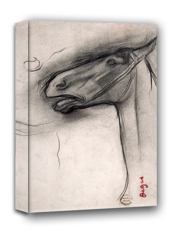 Head of a Horse, Edgar Degas - obraz na płótnie Wymiar do wyboru: 30x40 cm