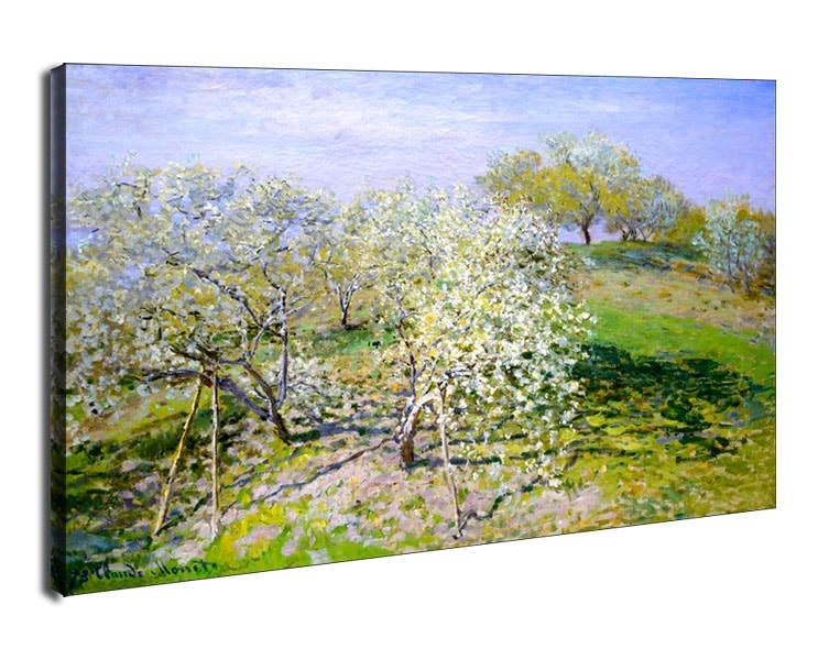 Apple trees in bloom, Claude Monet - obraz na płótnie Wymiar do wyboru: 100x70 cm