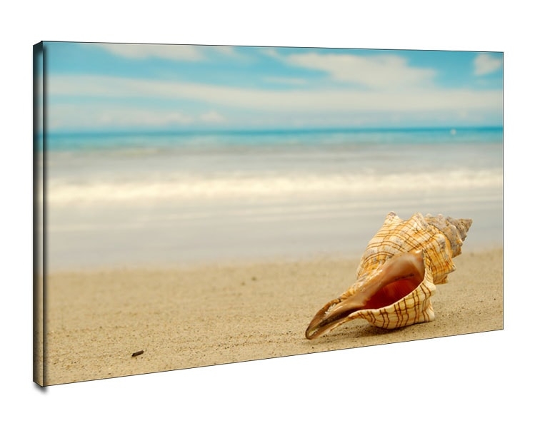 Muszla na plaży - obraz na płótnie Wymiar do wyboru: 40x30 cm