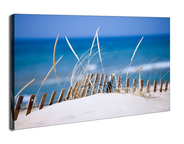 Lake sand Dunes - obraz na płótnie Wymiar do wyboru: 30x20 cm