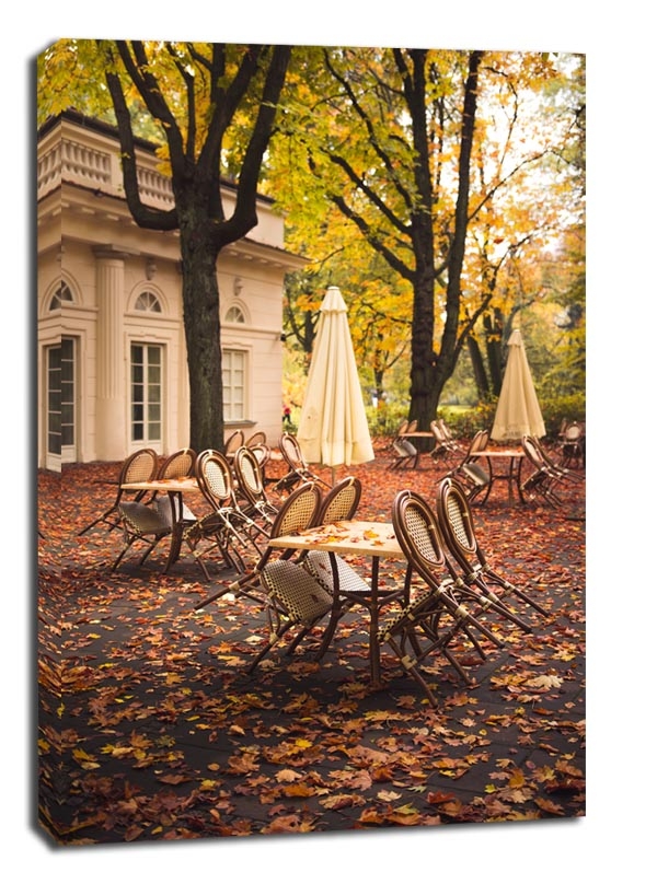 Warszawa Jesień w Łazienkach II - obraz na płótnie Wymiar do wyboru: 30x40 cm