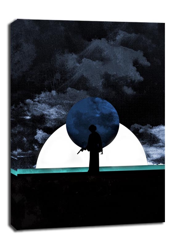 Sol Lunaris - Leia Organa, Gwiezdne Wojny Star Wars - obraz na płótnie Wymiar do wyboru: 60x80 cm