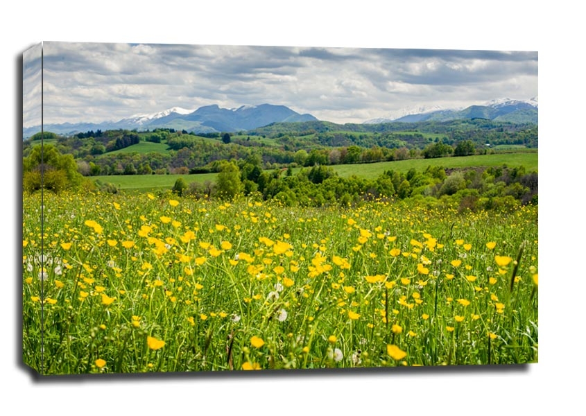 Zdjęcia - Obraz Łąka pełna kwiatów Pireneje -  na płótnie Wymiar do wyboru: 120x90 cm
