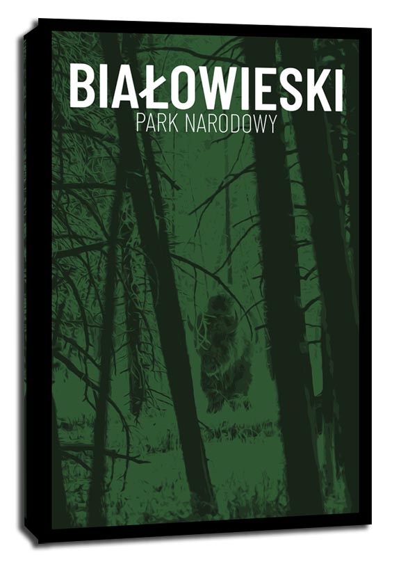 Parki Narodowe, Bialowieża - obraz na płótnie Wymiar do wyboru: 61x91,5 cm