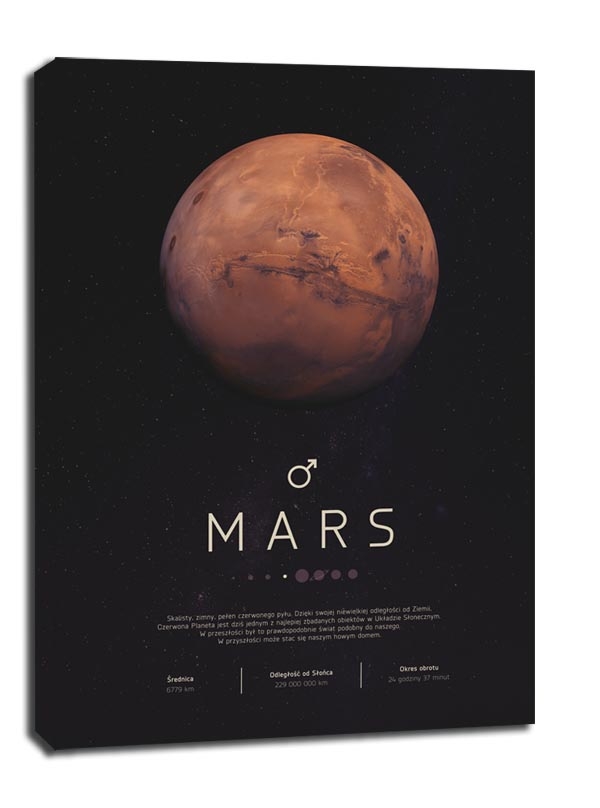 Mars - obraz na płótnie Wymiar do wyboru: 40x60 cm