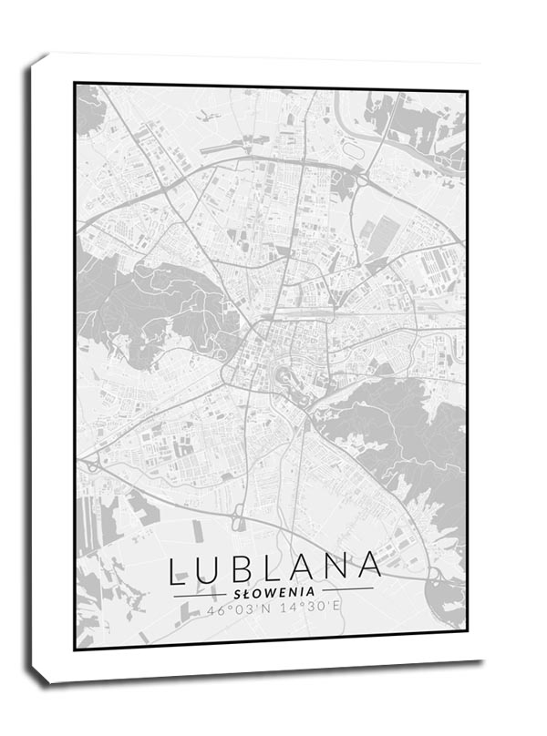 Lublana mapa czarno biała - obraz na płótnie Wymiar do wyboru: 90x120 cm