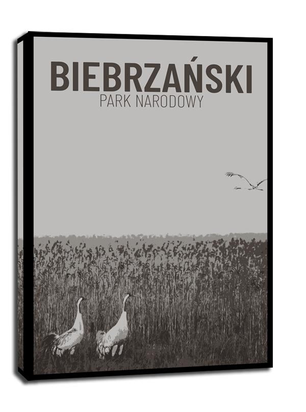 Parki Narodowe, Biebrza b&w - obraz na płótnie Wymiar do wyboru: 61x91,5 cm