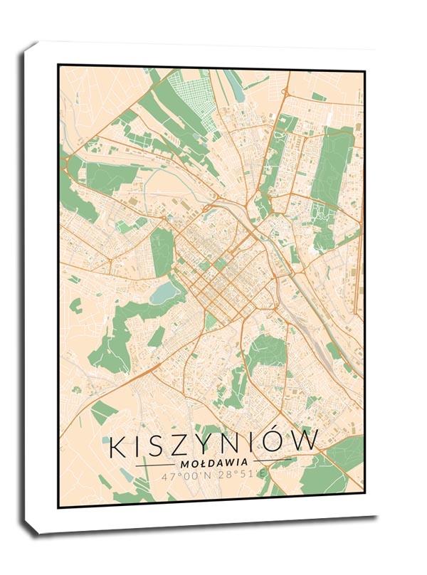 Фото - Картина Kiszyniow mapa kolorowa - obraz na płótnie Wymiar do wyboru: 20x30 cm