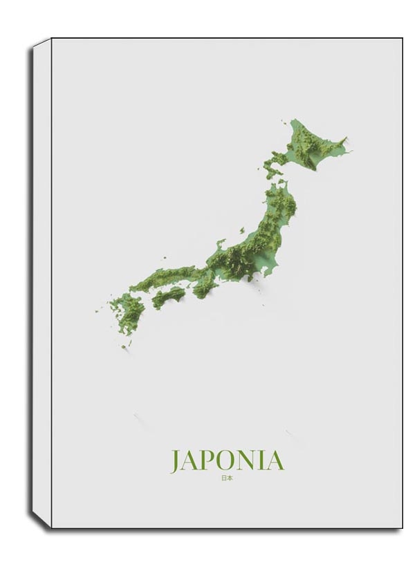 Japonia, mapa - obraz na płótnie Wymiar do wyboru: 60x80 cm