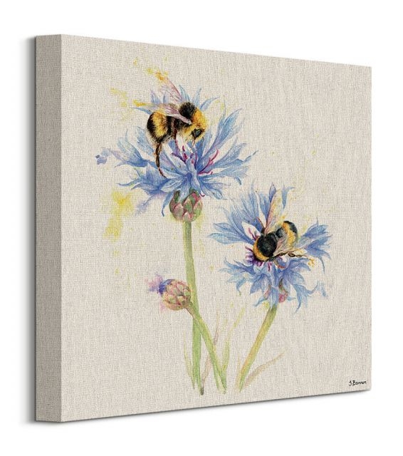 Bees on Cornflowers - obraz na płótnie