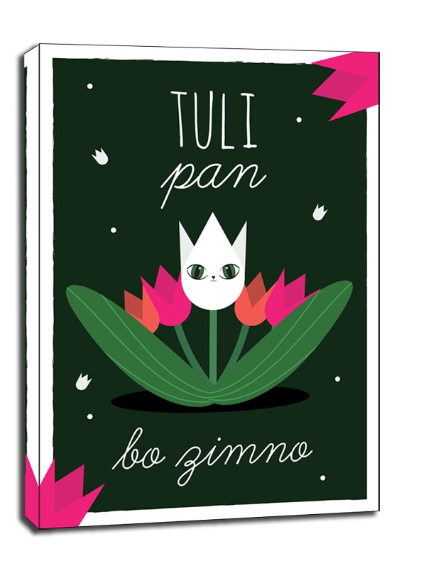 Tulipan, bo zimno ciemne tło - obraz na płótnie Wymiar do wyboru: 61x91,5 cm