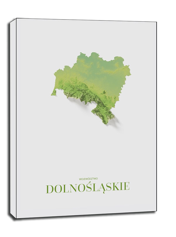 Dolny Śląsk mapa kolorowa - obraz na płótnie Wymiar do wyboru: 40x50 cm