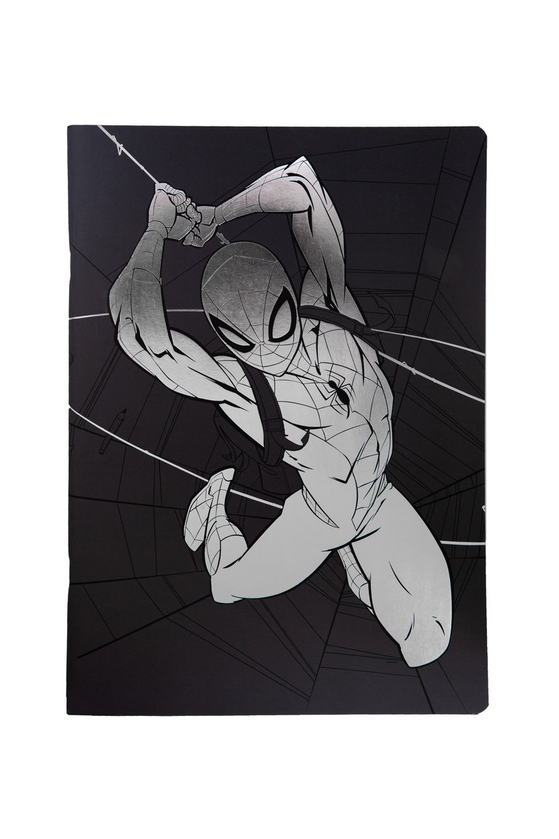 Zeszyt A5 60 K. Linia Disney 100 Wzór 2