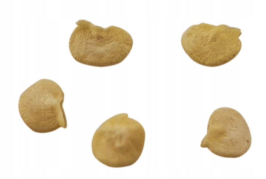 Nasiona papryka chili Habanero Czerwona świeża red