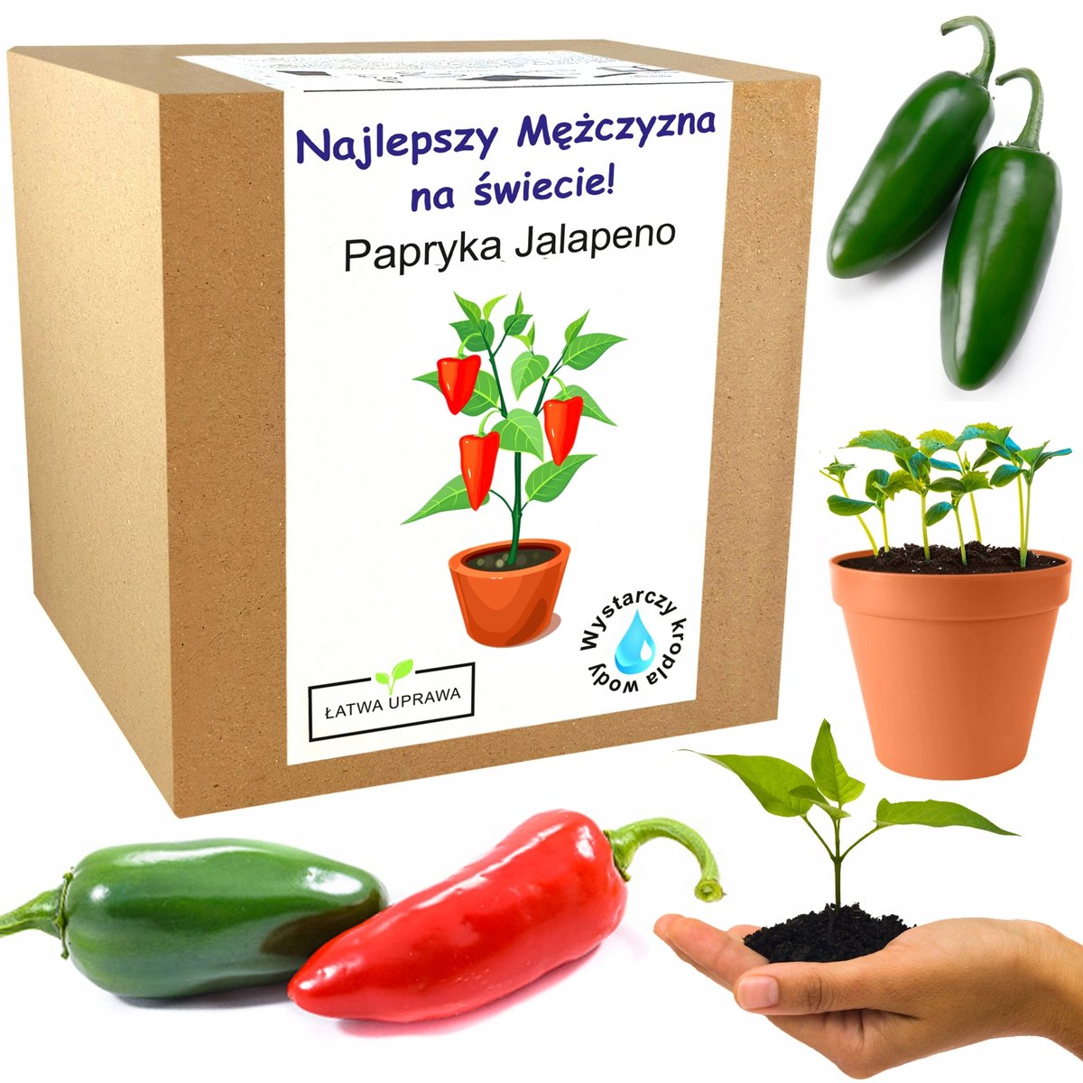 Papryka Jalapeno Chili prezent dla niego chłopaka