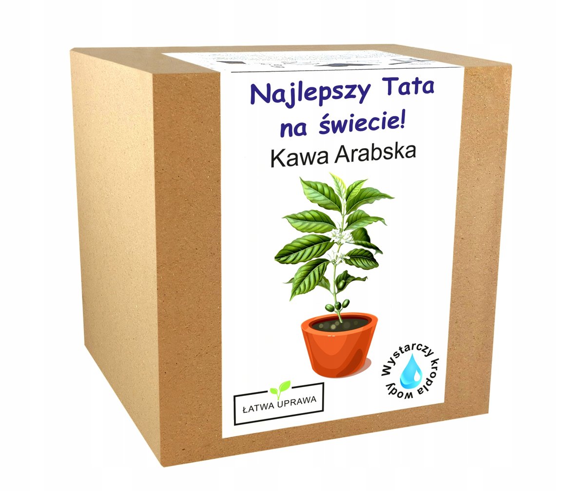 Prezent na Dzień Ojca dla Taty kawa Arabska ziarno