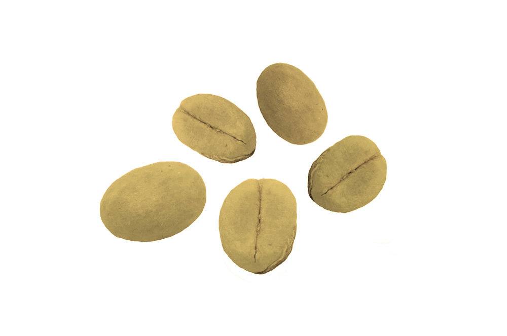 Nasionka Kawa Arabska Arabica Ziarno Kawowiec Owoc