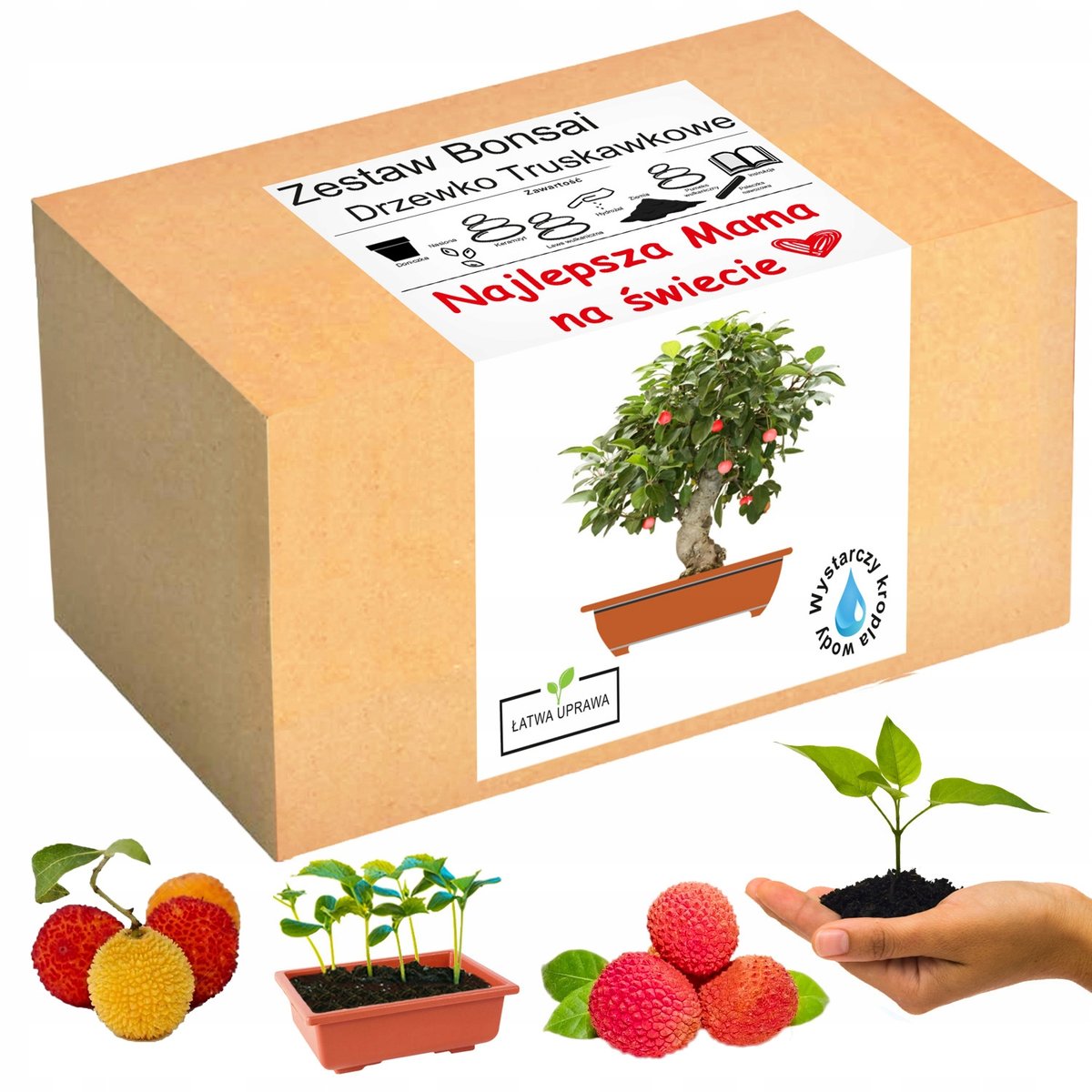 Zestaw Bonsai Drzewko Truskawkowe Dzień Matki Mamy