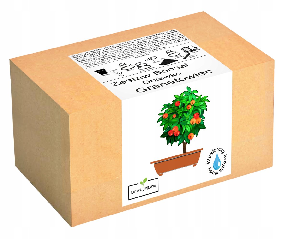 Zestaw do uprawy drzewka Bonsai Granatowiec Granat