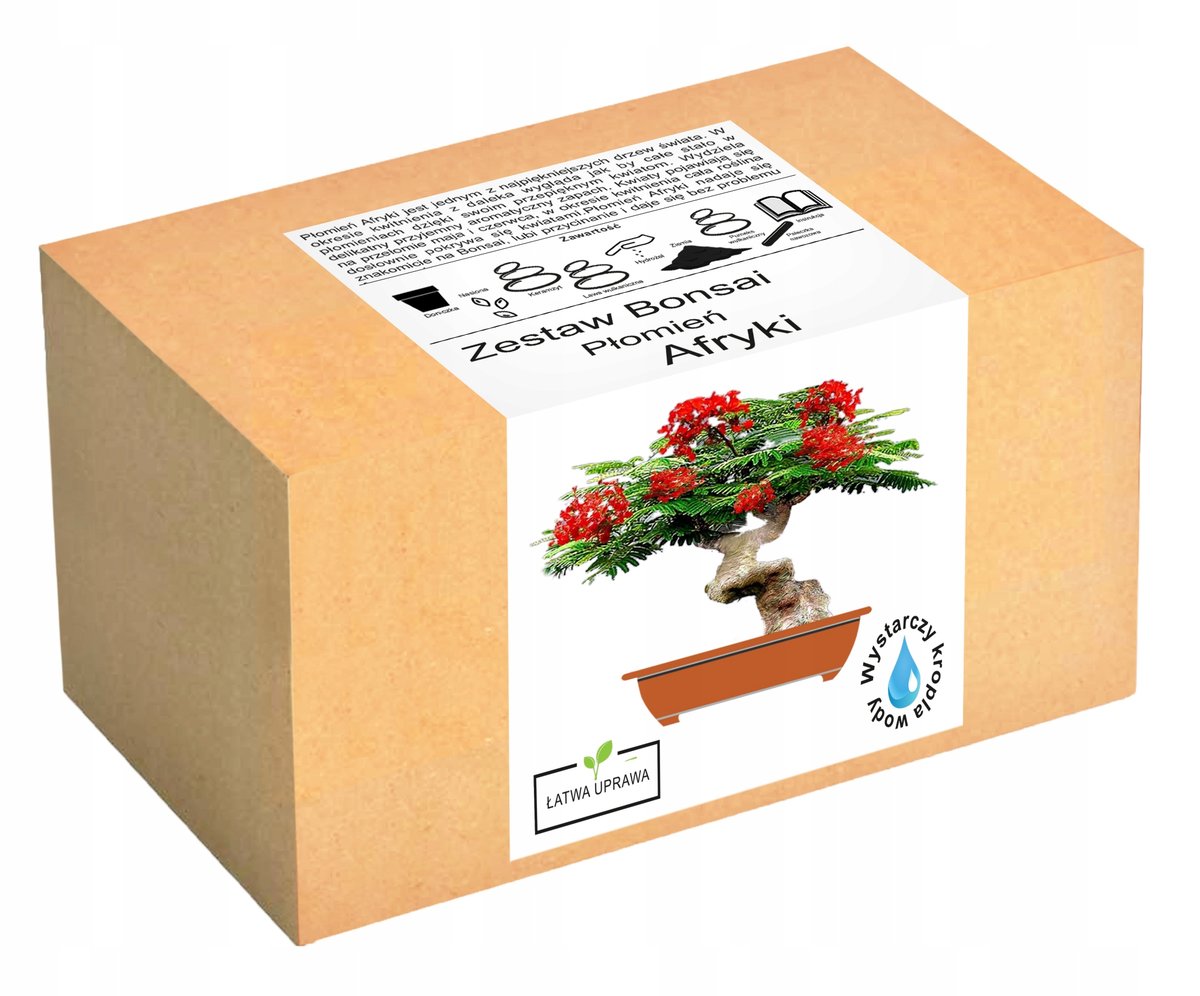 Zestaw do uprawy drzewka Bonsai Płomień Afryki
