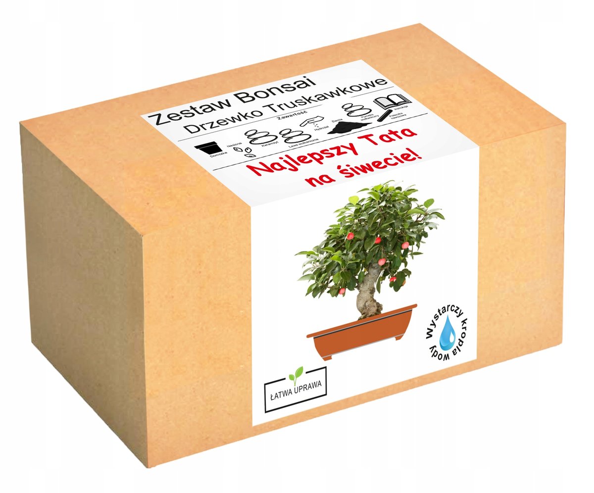 Prezent na Dzień Ojca drzewko szczęścia bonsai