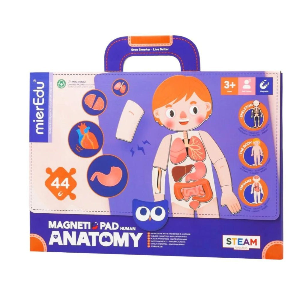 mierEdu Puzzle magnetyczne Ciało człowieka