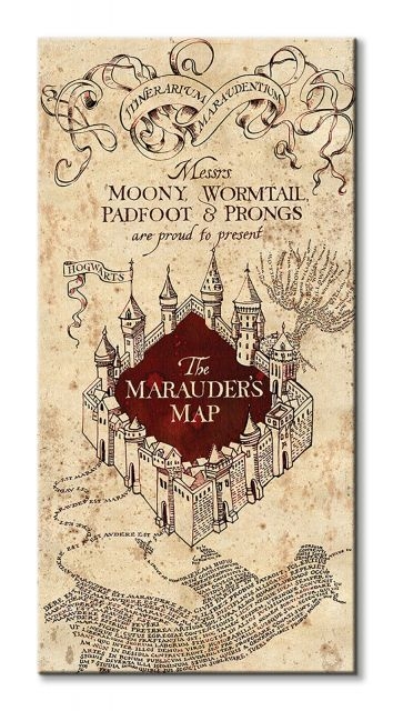 Pyramid Posters Harry Potter (The Marauders Map) - Obraz na płótnie 50x100 WDC93235